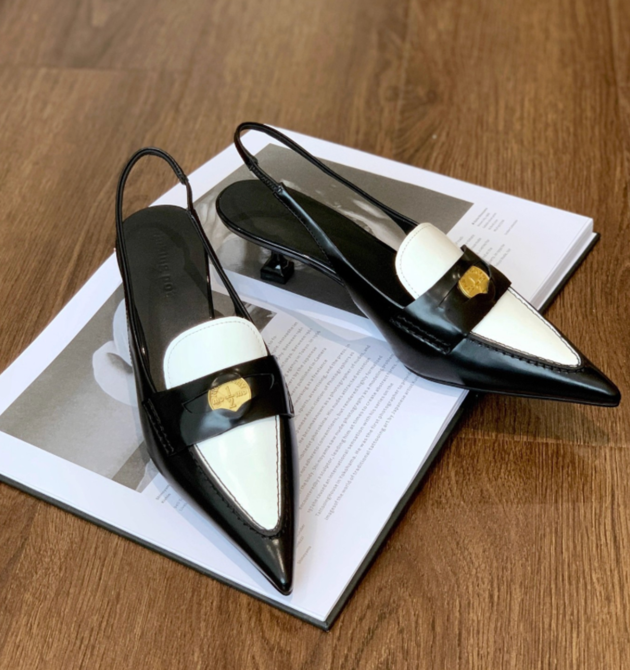 Élanora™ – Pointed-Toe Slingback Stiletto Heels